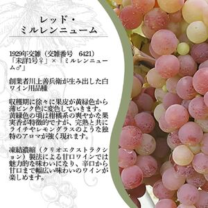 ワイン 岩の原ワイン レッド・ミルレンニューム 12本 720ml 希少ぶどう品種 辛口 お酒 希少 ぶどう 岩の原 新潟 上越 最短3日で発送 お届け：7日以内にお届けします。