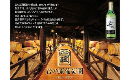 珍味 ワイン味付 えいひれ【岩の原葡萄園製造ワイン使用】56g おつまみ エイヒレ