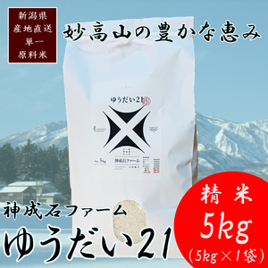 標高200mで育てた棚田米|令和7年・新潟県上越産・ゆうだい21精米5kg　白米  お米 こめ おすすめ ふるさと納税 新潟 新潟県産 にいがた 上越 上越産