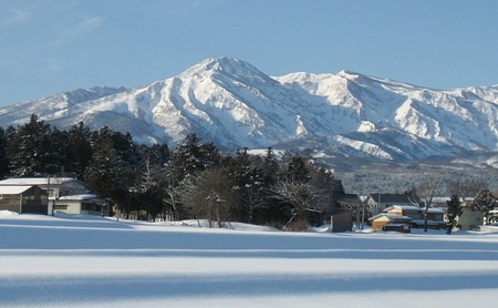 標高200mで育てた棚田米|令和7年・新潟県上越産・ゆうだい21精米5kg　白米  お米 こめ おすすめ ふるさと納税 新潟 新潟県産 にいがた 上越 上越産