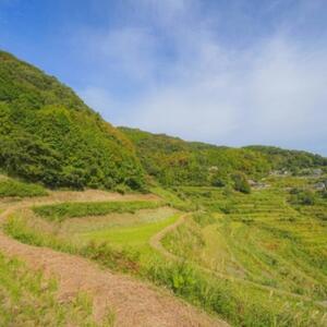 令和7年産／桑谷ファーム／桑谷米（棚田米コシヒカリ）白米・2kg　 精米 こしひかり 新潟県産 米 お取り寄せ ブランド米