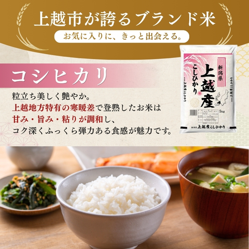 【5月上旬配送】農家応援! コシヒカリ・新之助 各 2kg 4kg セット 緊急価格改定 新潟県 上越市産 令和7年産 お米 精米 米 ご飯 送料無料