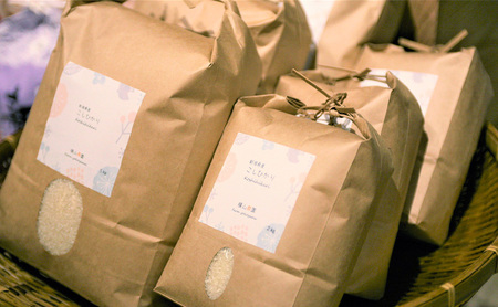 新潟県特別栽培農作物 玄米 新潟県上越市産 横山農園 コシヒカリ 令和7年産 2kg（2kg×1袋）こしひかり お米  ご飯 送料無料