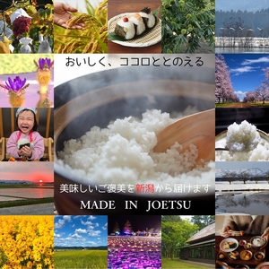 令和8年産 先行予約 新潟県上越市産米5品種食べ比べセット 5種×2kg 新米 精米 新潟 米 コシヒカリ 新之助 こしいぶき つきあかり みずほの輝き 新潟県 上越市 限定 米ヴィレッジさんわ