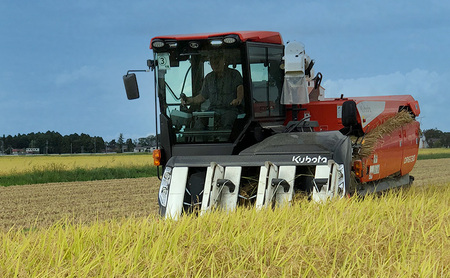 先行予約 令和8年産 新潟県 コシヒカリ×新之助×ゆうだい21 セット 食べ比べ 5kg×3種 しんのすけ 窒素封入 宇都宮大学 開発 上越市 坪井農場 白米 精米 送料無料