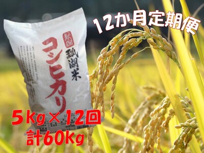 【12ヶ月定期便】新潟産 コシヒカリ「瓢湖米」 5kg×12回 1N10126