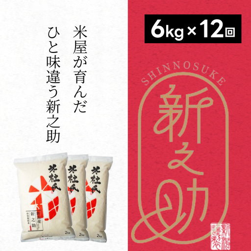 【令和7年産】 12ヶ月定期便 特別栽培米 新之助 6kg (2kg×3袋)×12回 米杜氏 壱成 白米 精米 大粒 つや 光沢 弾力 芳醇 1H26265