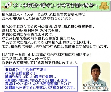 【令和7年産新米】3ヶ月定期便 ミネラル栽培こしひかり 5kg×3回 計15kg 白米 精米 井上米穀店 1I12046