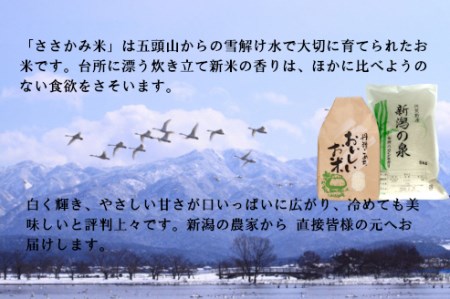 コシヒカリ 「新潟の泉」 5kg 旧笹神村産 上泉 農家直送 コメドック 1Q01010
