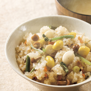 【たんぱく質調整食品】【12ヶ月定期便】 1/12.5 越後米粒タイプ 1kg×6袋×12回 バイオテックジャパン 越後シリーズ 1V46505