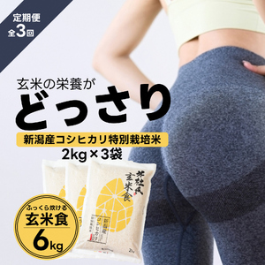 【令和7年産】【3ヶ月定期便】【炊飯器で普通に炊ける玄米】 ふっくら玄米食 6kg（2kg×3）×3回 新潟県阿賀野市産 米杜氏 壱成 特別栽培コシヒカリ 1H32067