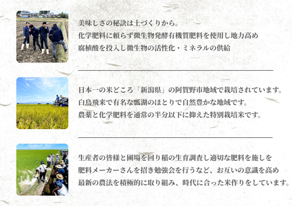 米杜氏 阿賀野市産 特別栽培米 新之助 6kg 1H01010