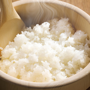 【たんぱく質調整食品】【12ヶ月定期便】 越後極み 450g×4袋×12回 バイオテックジャパン 越後シリーズ 1V92158