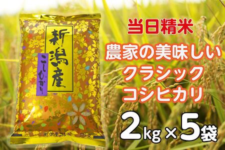 【令和7年産】 当日精米! 農家直送 美味しい クラシックコシヒカリ 2kg×5袋 計10kg 精米 白米 1F19035