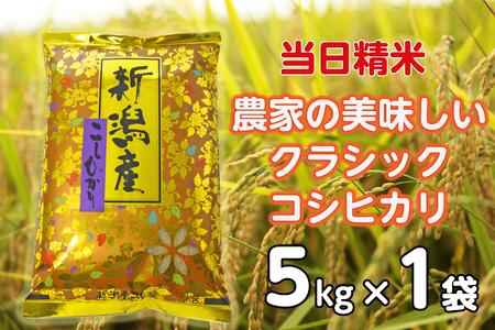 【令和7年産】 当日精米! 農家直送 美味しい クラシックコシヒカリ 5kg 新潟県 米 こめ コメ 精米 白米 1F22018
