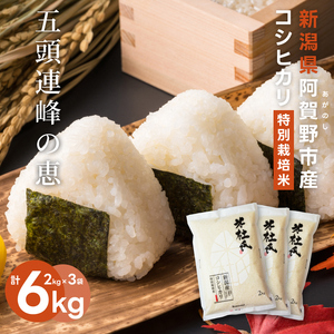 【令和7年産】米杜氏 新潟県阿賀野市産 特別栽培米 コシヒカリ 6kg（2kg×3袋） 1H36023