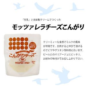 ビール スワンレイクビール 3回定期便 世界一金賞受賞入り 長期熟成ビール入り6本＆ヤスダヨーグルトモッツァレラチーズ2種 阿賀野市 新潟県 阿賀野 クラフト 飲み比べ クラフトビール 地ビール ビール お酒 酒 詰め合わせ  チーズ 1S49063