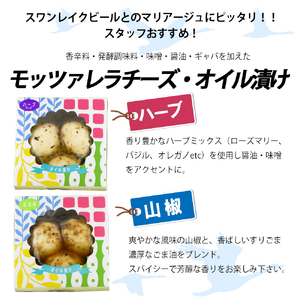 ビール スワンレイクビール 世界一金賞受賞入り ビール8本＆ヤスダヨーグルトモッツァレラチーズ2種 阿賀野市 新潟県 阿賀野 クラフト 飲み比べ クラフトビール 地ビール ビール お酒 酒 詰め合わせ ギフト プレゼント 贈答 贈り物 チーズ お中元 お歳暮 のし対応 熨斗 1S52023