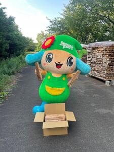 スギ薪 12kg 40cm×14本 遊園地で製造した薪 薪ストーブ BBQ キャンプ 薪 サントピアワールド 2S03006