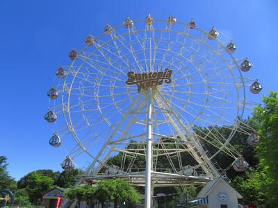 スギ薪 12kg 40cm×14本 遊園地で製造した薪 薪ストーブ BBQ キャンプ 薪 サントピアワールド 2S03006