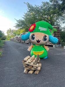 ナラ薪 17kg 40cm×14本 遊園地で製造した薪 薪ストーブ BBQ キャンプ 薪 サントピアワールド 2S02008