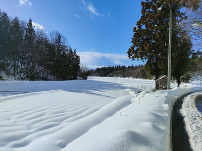 夢の谷ファームのこめ粉 250g×4袋 有機栽培コシヒカリ100％使用 米粉 阿賀野市産 農家直送 1U09008