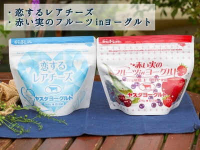 ヤスダヨーグルト 新発見セット 化粧箱 搾りたて こだわり生乳 濃厚 飲むヨーグルト のむよーぐると ヨーグルト レアチーズ カフェオレ ミルクティー クリームチーズ フロマージュ モッツァレラチーズ バター チーズ 限定 脂肪ゼロ 低脂肪 お中元 お歳暮 贈り物 ギフト 父の日 母の日 誕生日 クリスマス プレゼント 1B87016