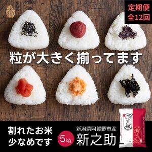 【令和7年産】【12か月定期便】 新潟県阿賀野市産 新之助 5kg×12回 計 60kg 米杜氏 壱成 白米 精米 大粒 つや 光沢 弾力 芳醇 1H55193