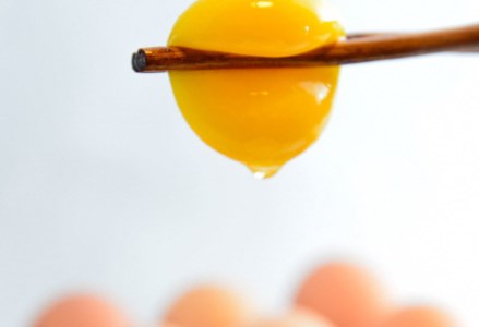 A 29 ゆっくり育てた地鶏の初産みたまご40個セット 新潟県阿賀野市 ふるさと納税サイト ふるなび