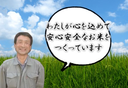特別栽培米 コシヒカリ 5kg 新潟県認証  1G01010