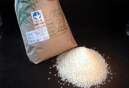 特別栽培米 コシヒカリ 10kg  新潟県認証  1G02020