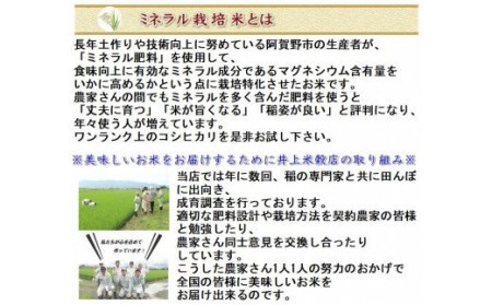 【令和7年産】12ヶ月定期便 ミネラル栽培こしひかり 5kg×12回 計60kg 白米 精米 井上米穀店 1I04181