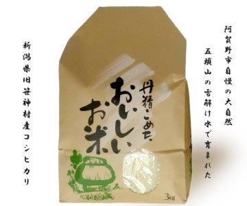 旧笹神村産 コシヒカリ 3kg 白米 上泉 農家直送 コメドック 金賞 贈答 1Q05007