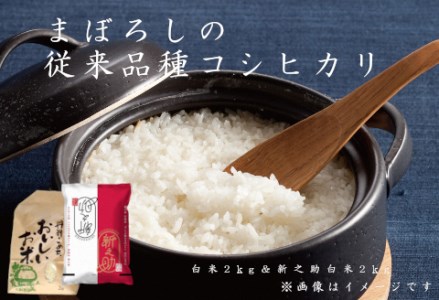 【令和6年産新米予約】旧笹神村産コシヒカリ 2kg＆新之助 2kg（美味しいお米食べ比べセット）阿賀野市 上泉 農家直送 コメドック 金賞 10月中旬より順次発送予定  1Q09010