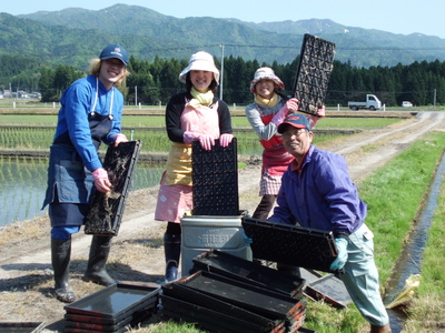 【令和6年産新米予約】旧笹神村産コシヒカリ 2kg＆新之助 2kg（美味しいお米食べ比べセット）阿賀野市 上泉 農家直送 コメドック 金賞 10月中旬より順次発送予定  1Q09010