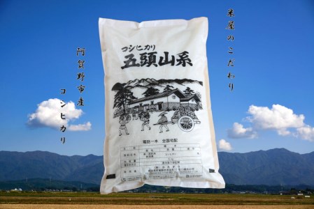 A-66　【2回定期便】「米屋のこだわり阿賀野市産」コシヒカリ2kg