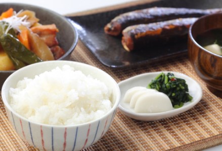 A-66　【2回定期便】「米屋のこだわり阿賀野市産」コシヒカリ2kg