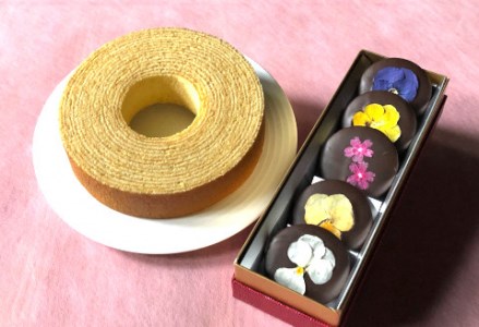 しょこら亭 ECHIGO花ショコラ＆バームクーヘンセット お菓子 菓子 スイーツ 贈答 1Z01013