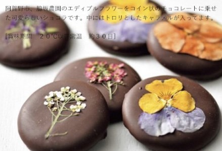 しょこら亭 ECHIGO花ショコラ＆バームクーヘンセット お菓子 菓子 スイーツ 贈答 1Z01013