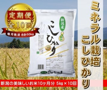 【新米】10ヶ月定期便 ミネラル栽培こしひかり 5kg×10回 計50kg 白米 精米 井上米穀店 1I03111