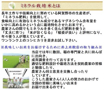 【新米】10ヶ月定期便 ミネラル栽培こしひかり 5kg×10回 計50kg 白米 精米 井上米穀店 1I03111