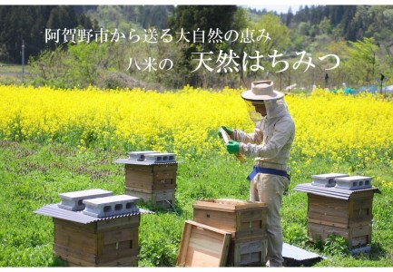 【グッドライフアワード環境大臣賞受賞】 HACHIBEI 阿賀野産 天然 はちみつ 3本セット ハチミツ 蜂蜜 ナッツ さくらの丘 ハチミツの交差点 ナッツスター 桜 アカシア エレガントな香り 春の息吹 八米 はちみつ漬け プレゼント ギフト 贈答 新潟県 1L02013