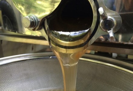 【グッドライフアワード環境大臣賞受賞】HACHIBEI 新潟県産 天然 はちみつ 6本 詰め合わせ セット はちみつ漬け お任せ 八米 ハチミツ 蜂蜜  新潟県 1L03021