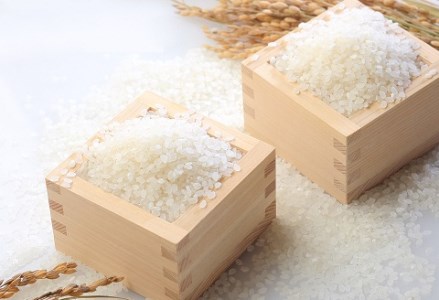 「米屋のこだわり阿賀野市産」 無洗米コシヒカリ便利な小分け1合×20袋 1E07009