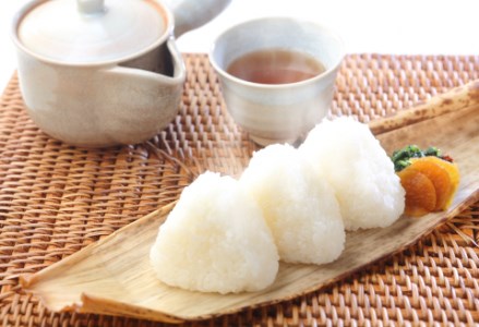 【令和7年産】「米屋のこだわり阿賀野市産」コシヒカリ5kg 新潟県 米 こめ コメ 白米 精米 1E01015 FN-Limited-WE