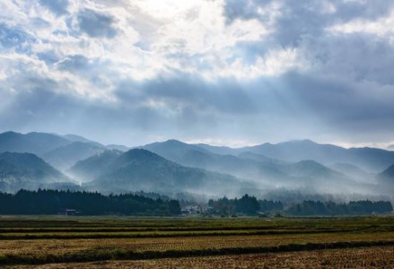 「米屋のこだわり阿賀野市産」嘉右衛門パックご飯 豆玄米ごはん24食 1E16025