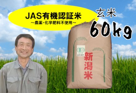令和5年産完売御礼【新米】JAS有機認証米 コシヒカリ 玄米 60kg 10月中旬以降のお届け 精米も可 1G11144