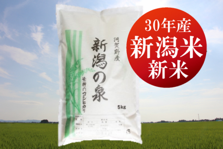 笹神村