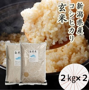 【令和7年産】「米屋のこだわり阿賀野市産」GOZU自然米 玄米２kg×２袋 1E13021