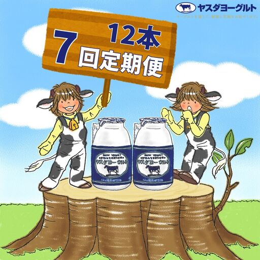 【7か月定期便】ヤスダヨーグルト 150g×12本×7回 小ボトル こだわり生乳 新鮮 濃厚 飲むヨーグルト のむよーぐると ヨーグルト 1B04043